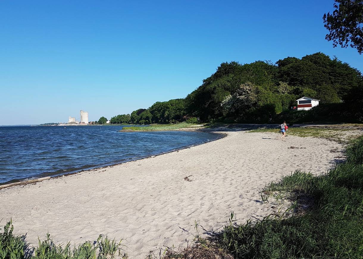 Kleiner Sandstrand mit blauem Wasser und Bäume im Hintergrund