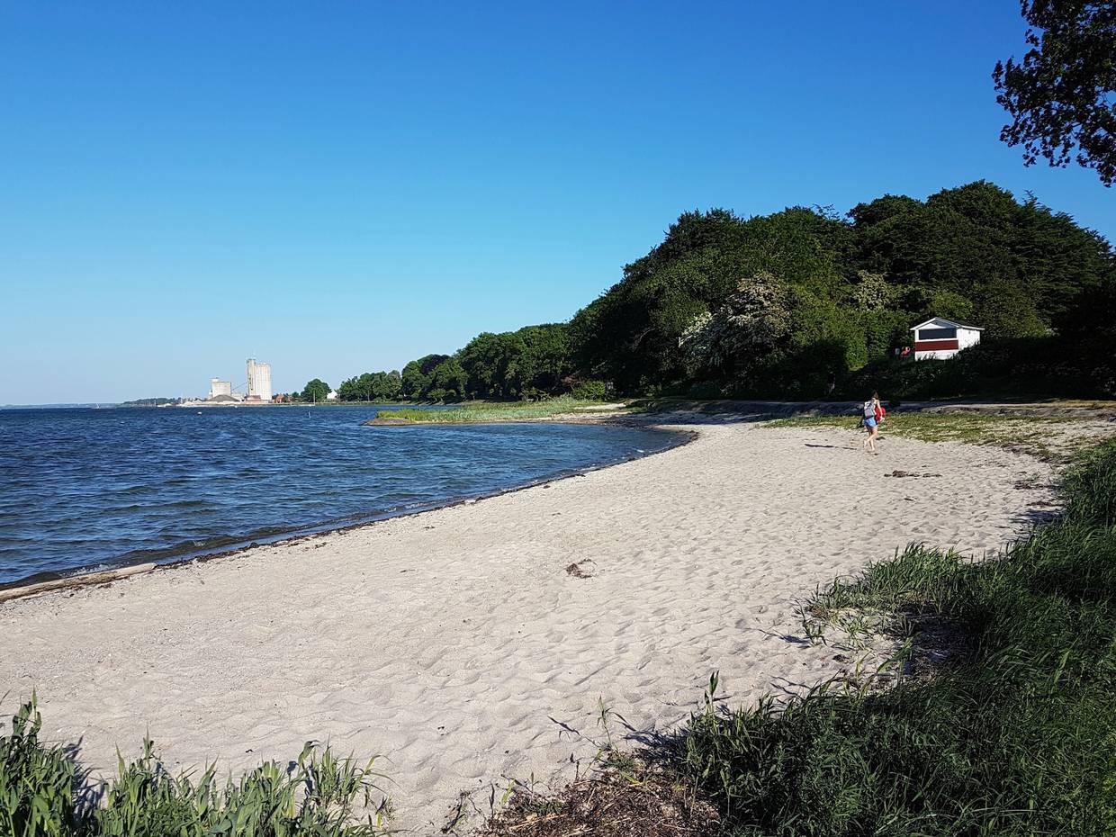 Kleiner Sandstrand mit blauem Wasser und Bäume im Hintergrund