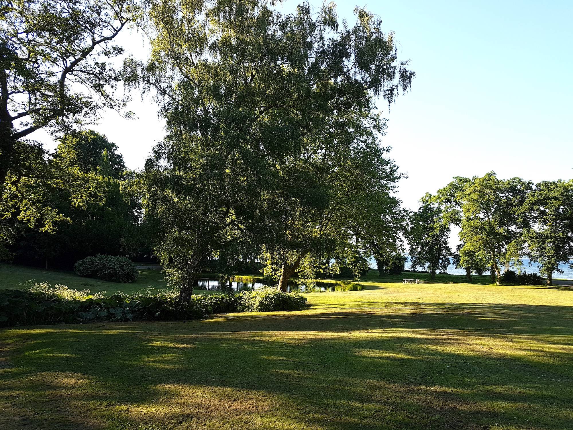 Park mit großen Bäumen und einem See am Meer