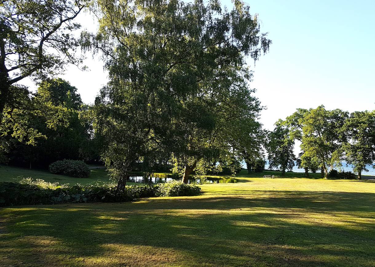 Park mit großen Bäumen und einem See am Meer
