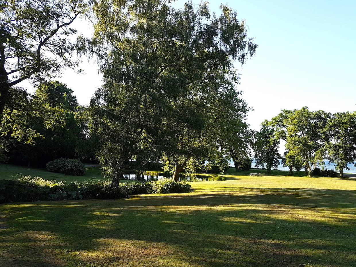 Park mit großen Bäumen und einem See am Meer