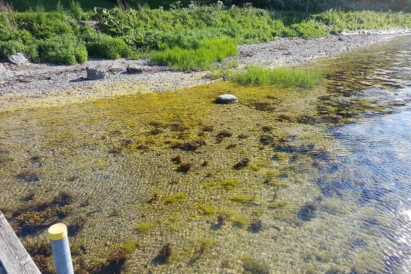Foto von Stubbekøbing Strand