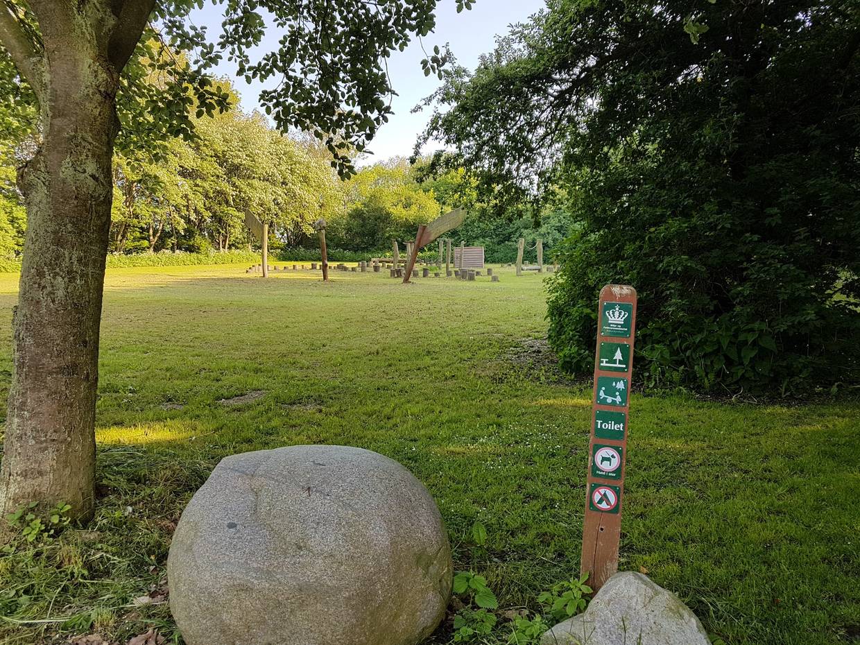 Spielwiese mit einigen Holzfiguren, umgeben von Bäumen