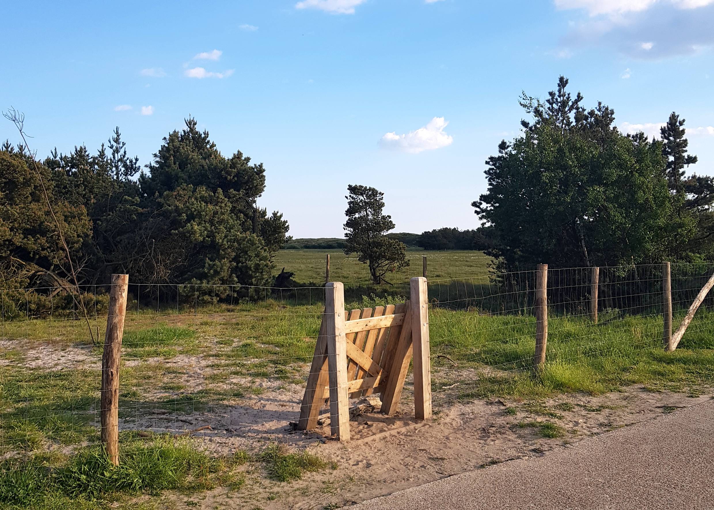 Pforte in ein umzäuntes Gebiet in der Heide