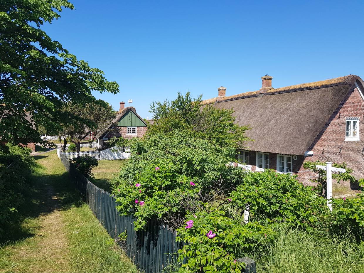 Reetdachhäusern und blühenden Hecken mit einem grasbewachsenen Fußweg zwischen den Häusern