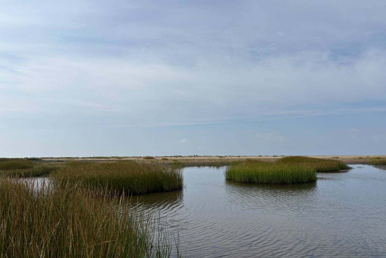 Foto von Sønderho Strand