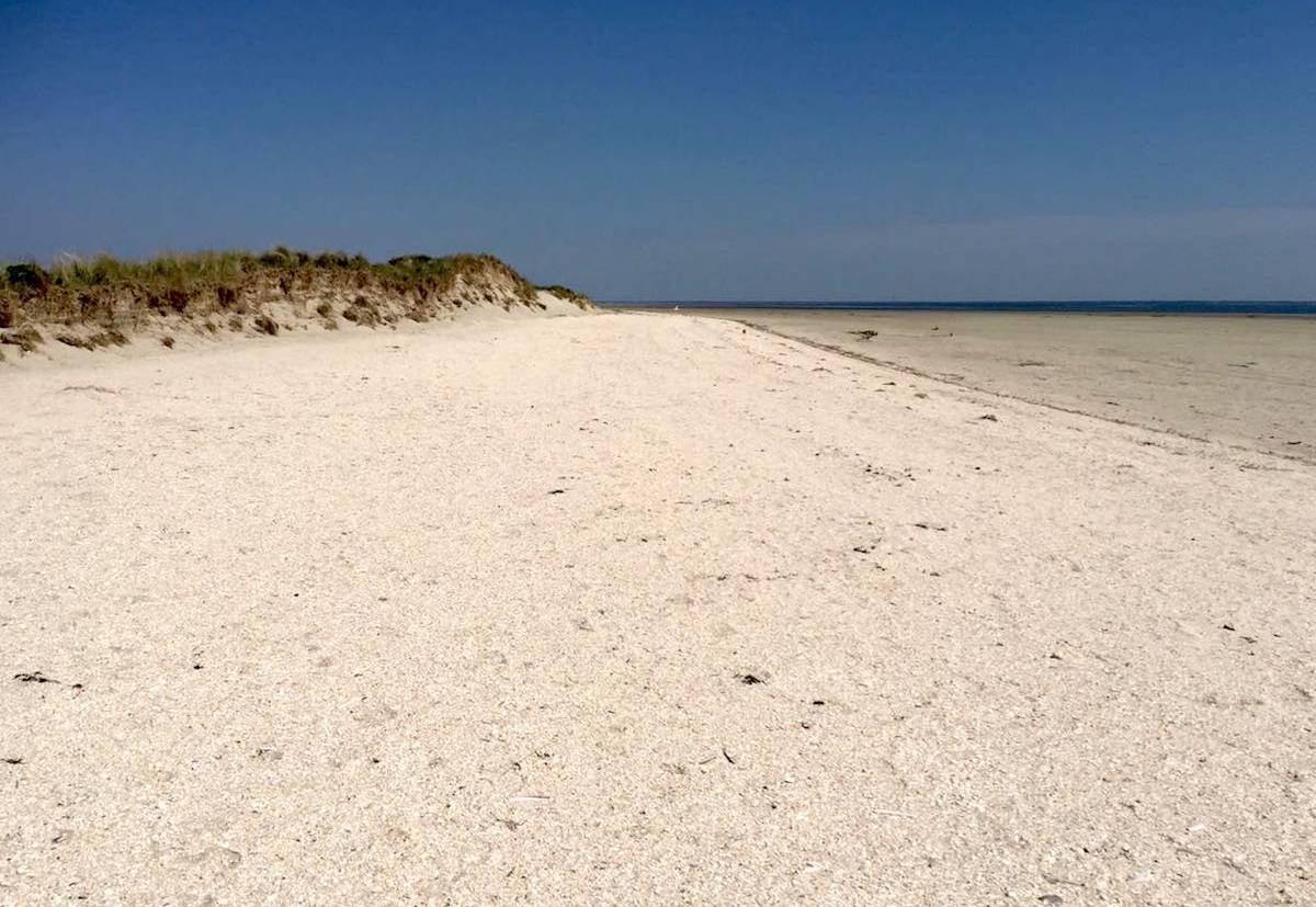 Foto von Sønderho Strand