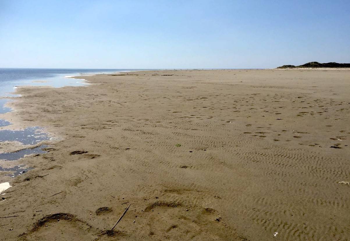 Foto von Sønderho Strand