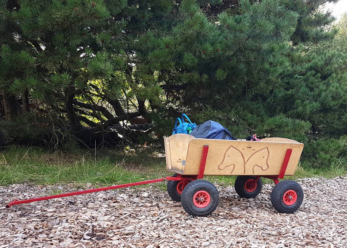 Bollerwagen vor den Bäumen