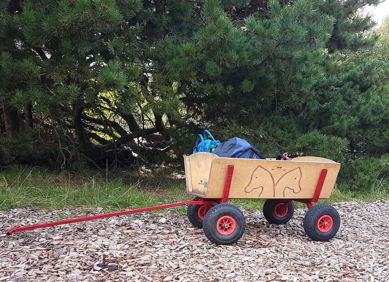 Bollerwagen vor den Bäumen