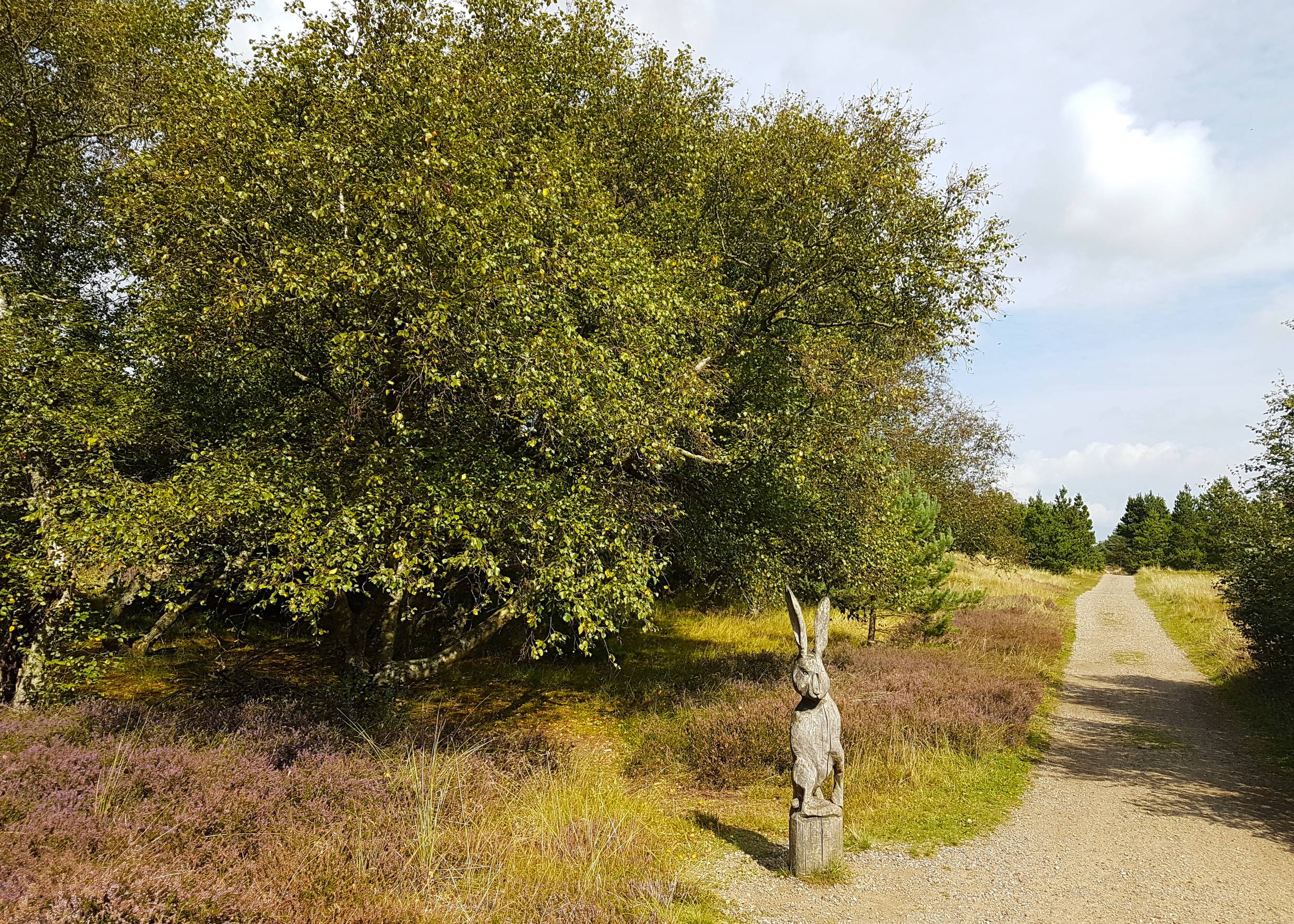 Weg in der Heide, am Rand eine geschnitzter Hase