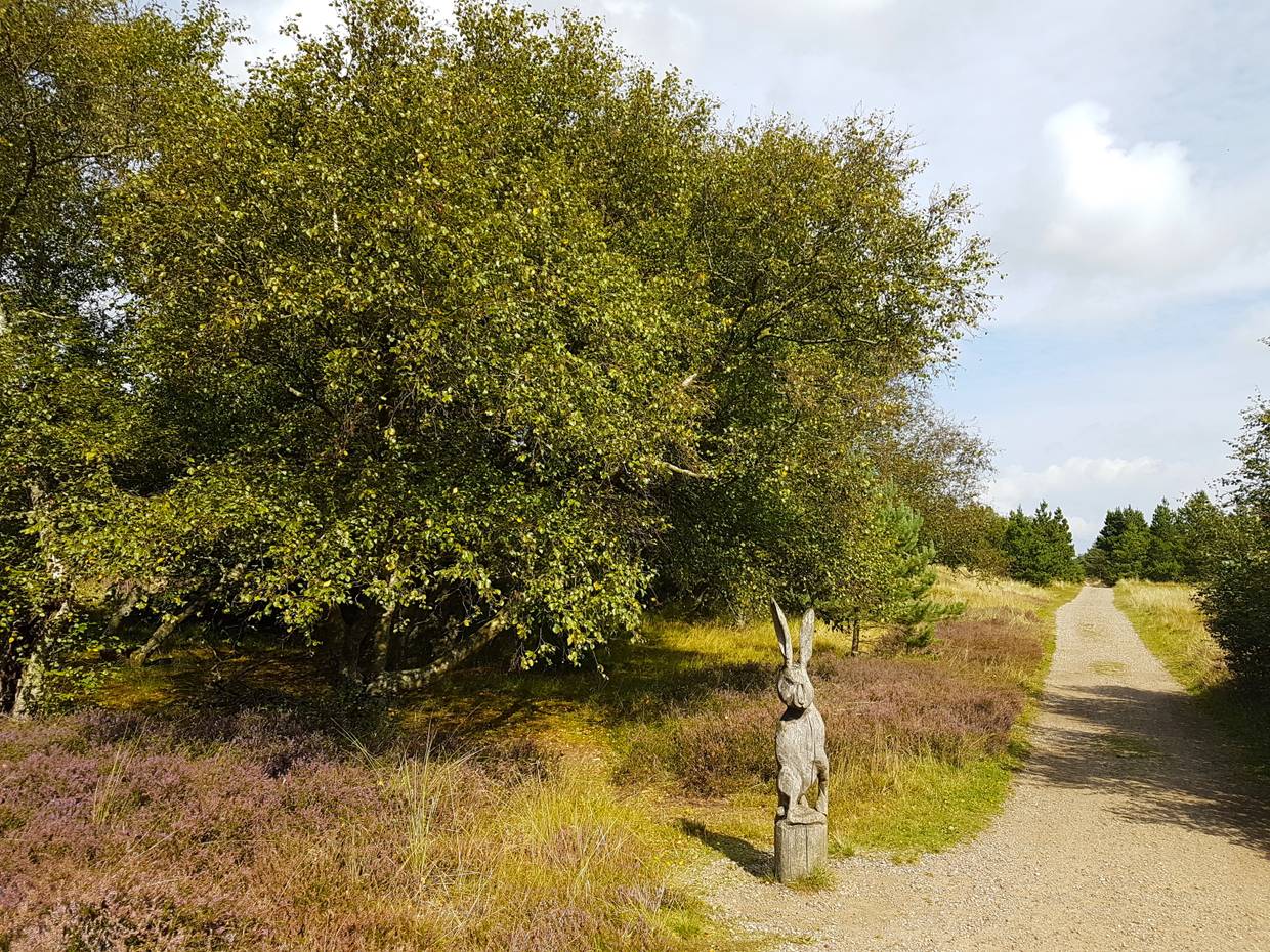 Weg in der Heide, am Rand eine geschnitzter Hase