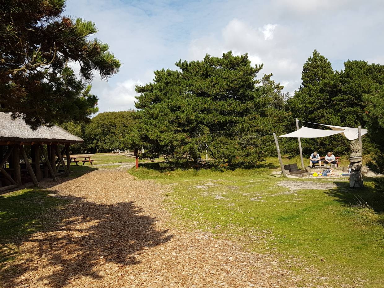  Überdachter Sandkasten in einerm Kiefernwald