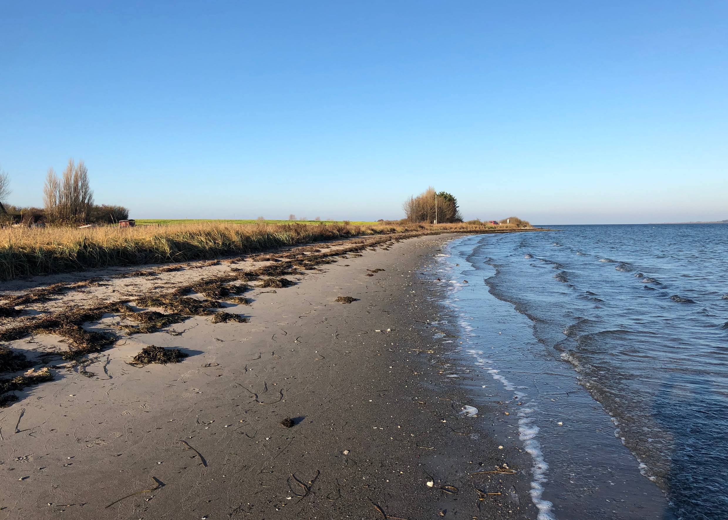Blick übe reinen schmalen Sandstrand mit etwas Seegras