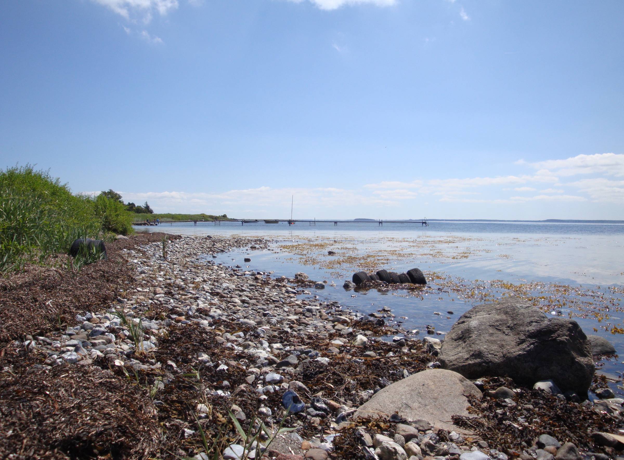 Steinige Küste mit dicken Brocken und Rasen am Ufer