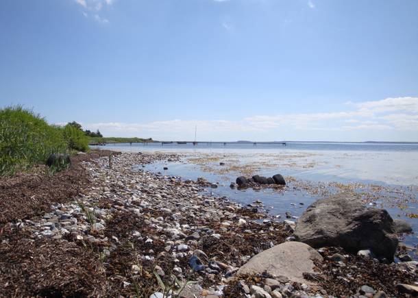 Steinige Küste mit dicken Brocken und Rasen am Ufer