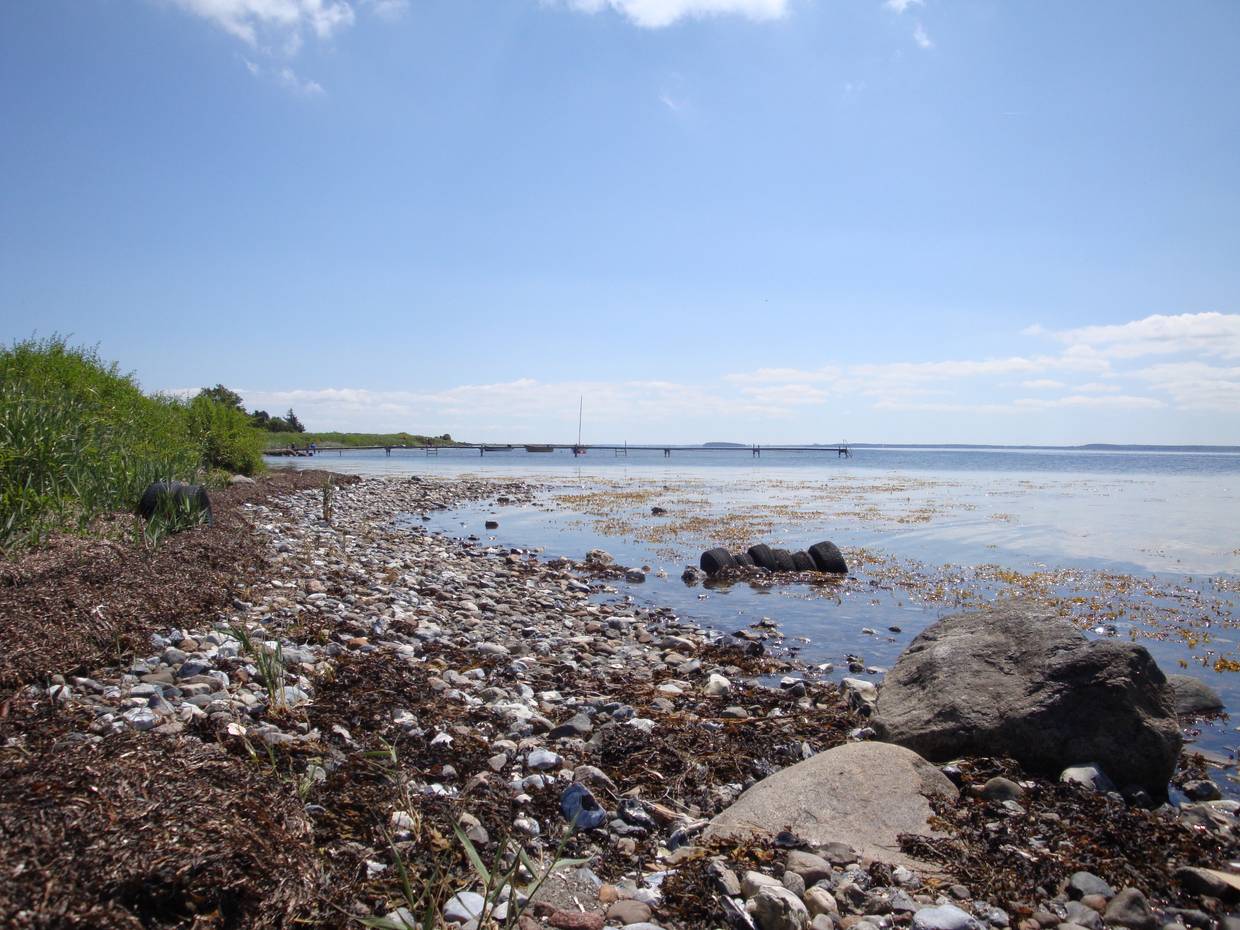 Steinige Küste mit dicken Brocken und Rasen am Ufer