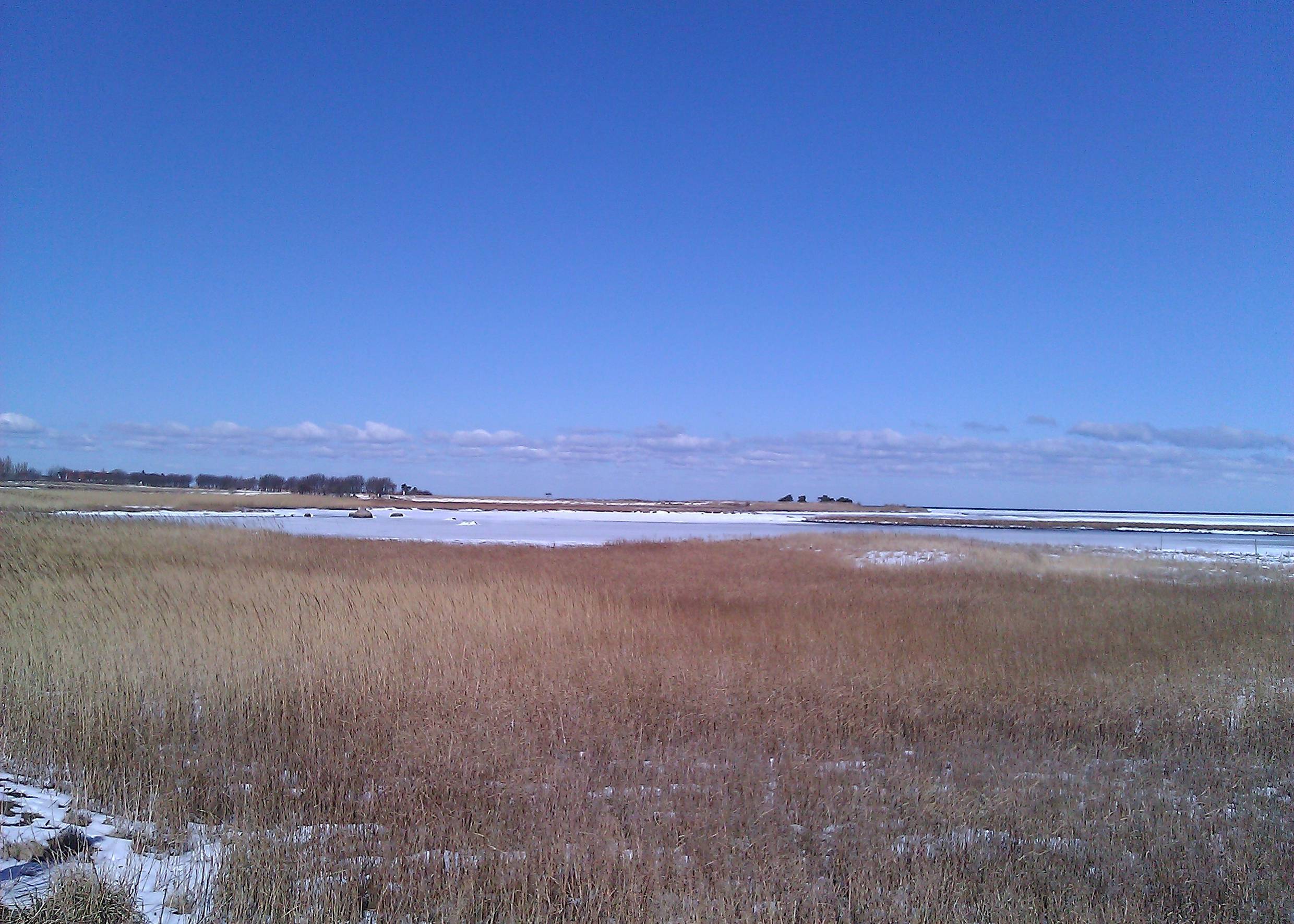 Moorlandschaft mit etwas Schnee
