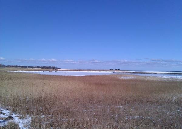 Moorlandschaft mit etwas Schnee