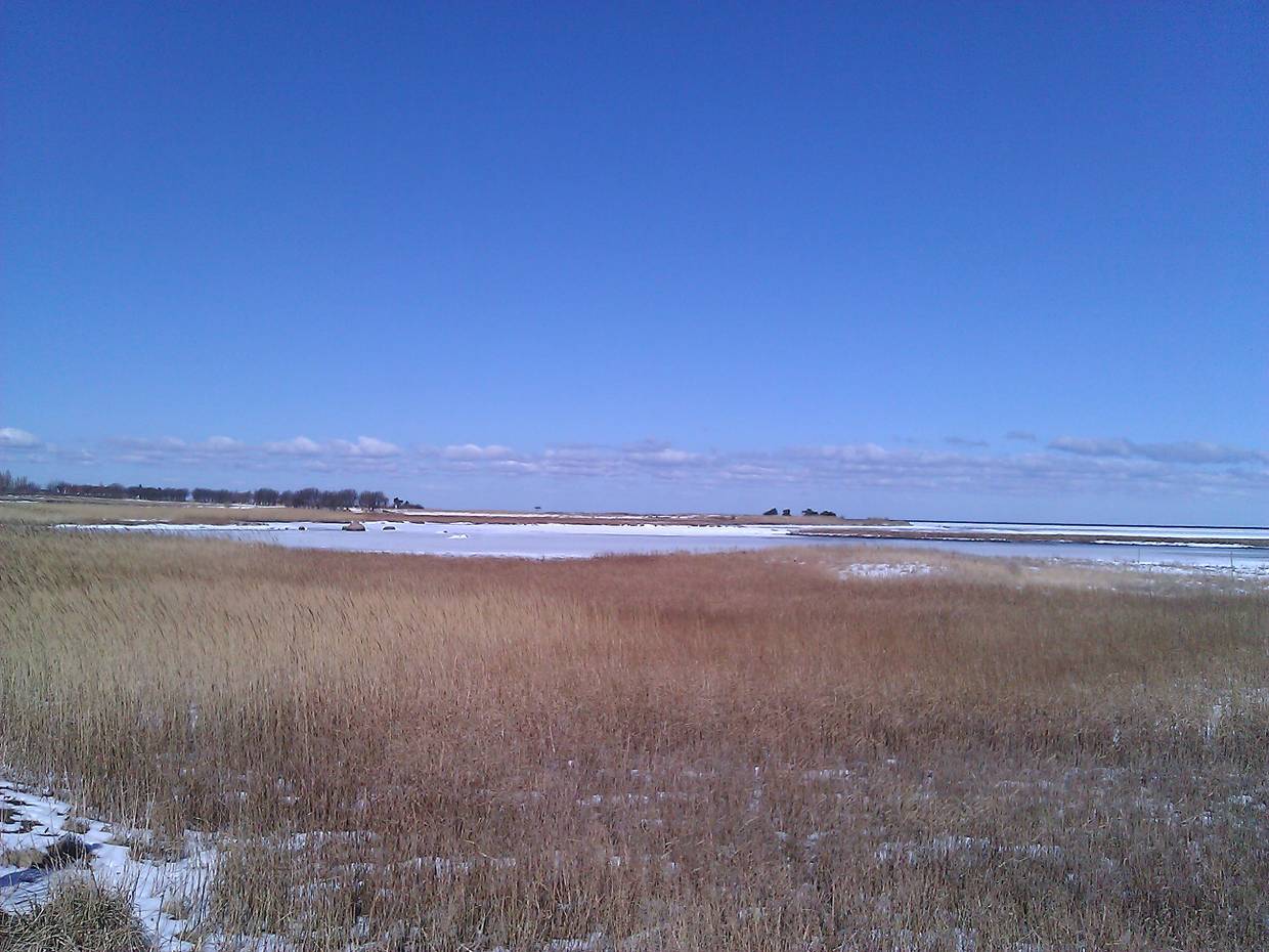 Moorlandschaft mit etwas Schnee