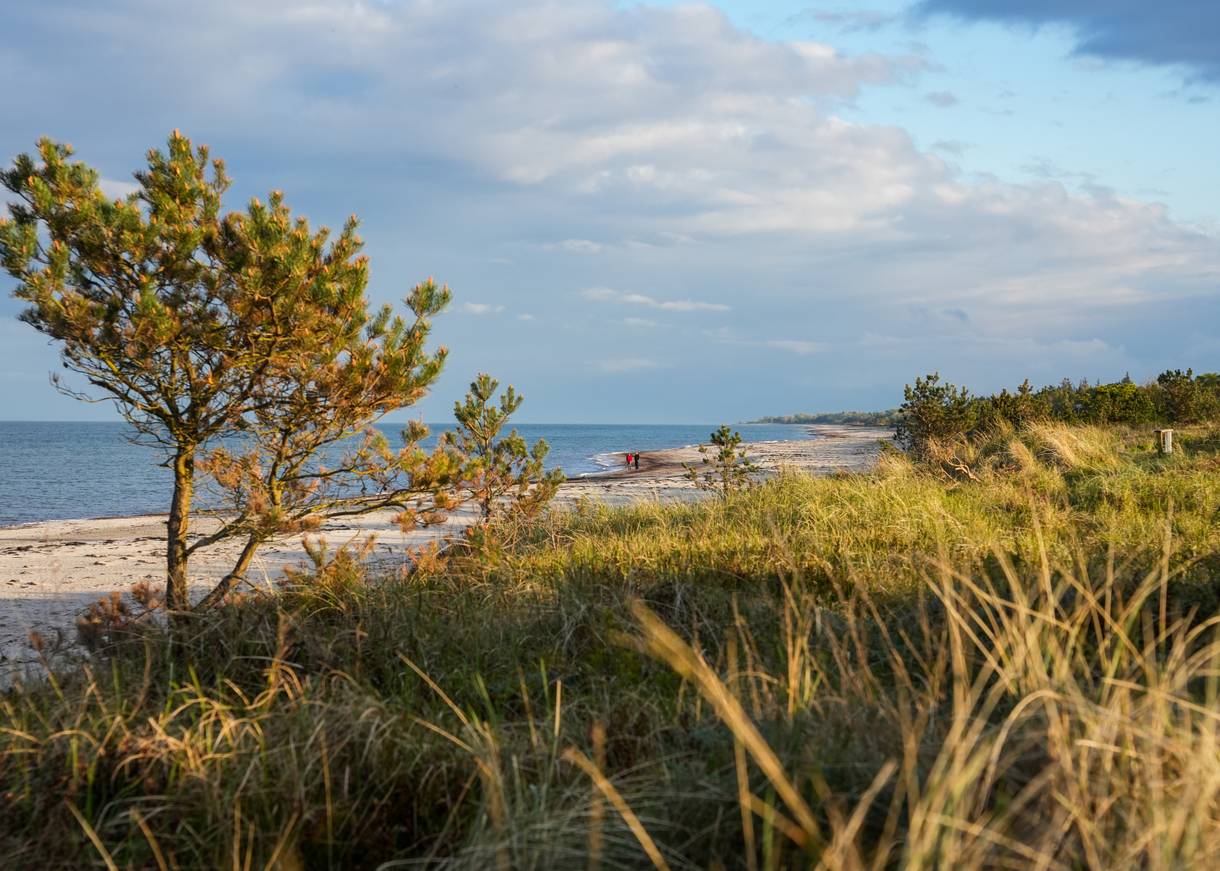 Große Brandungswellen an der Nordsee