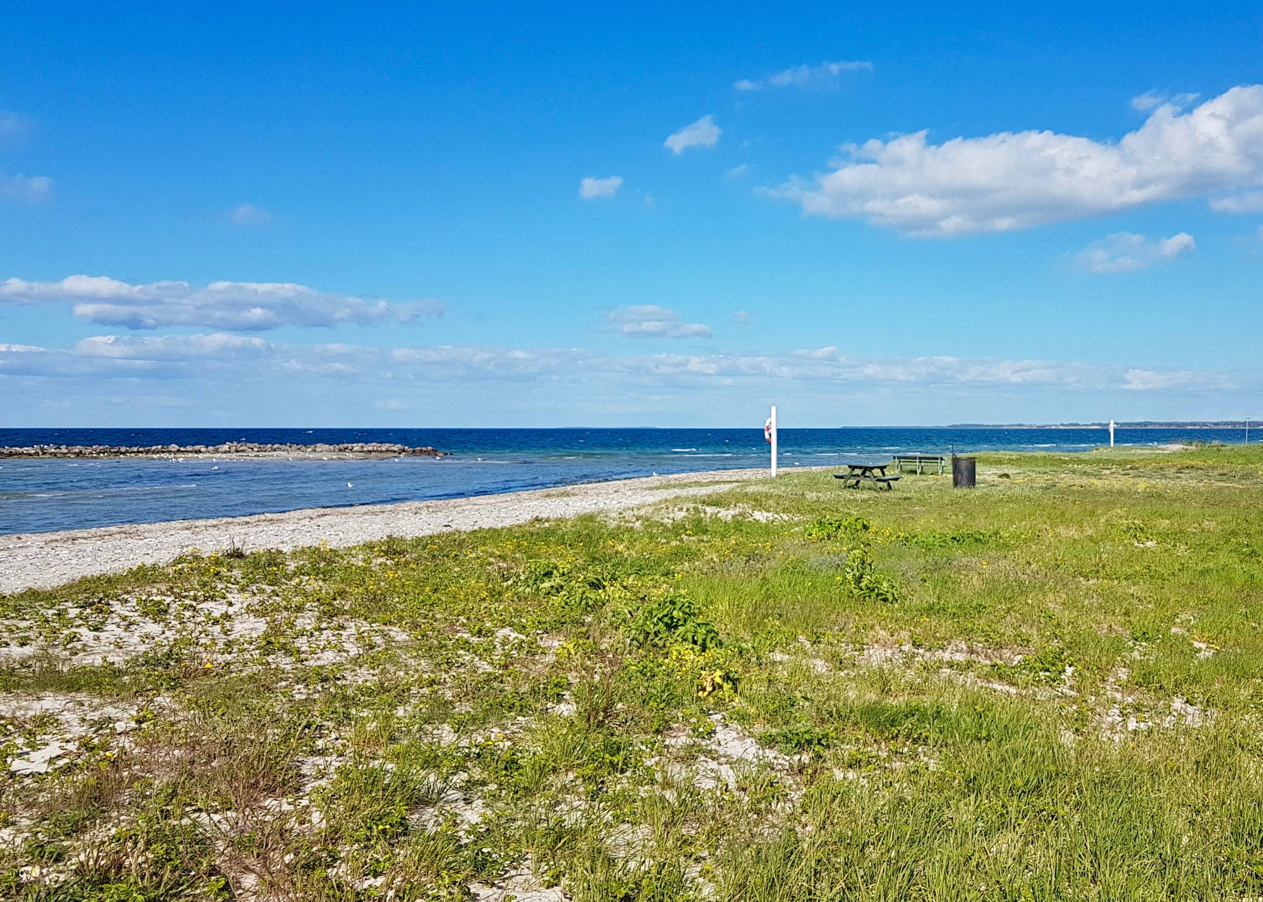 Picknicktisch am Strand zwischen grünen Wiesen und blauem Himmel
