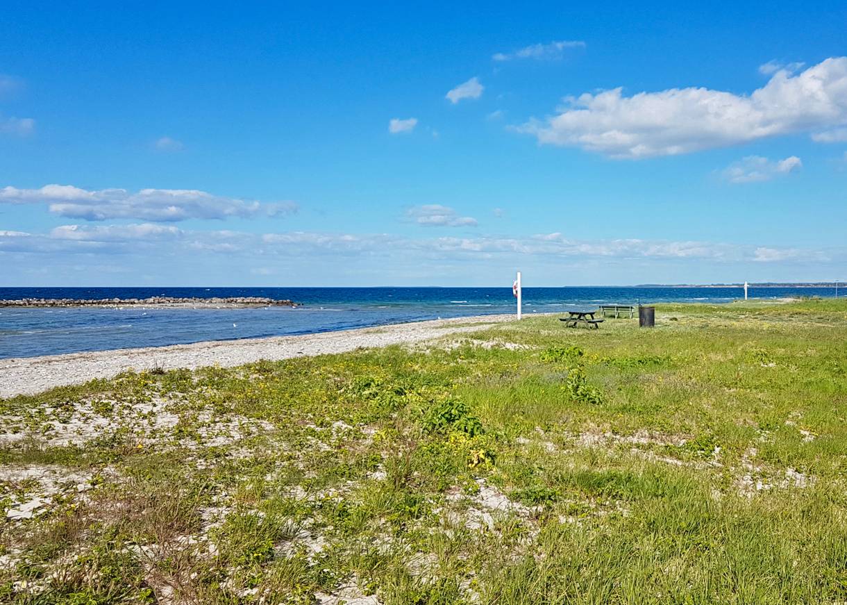 Picknicktisch am Strand zwischen grünen Wiesen und blauem Himmel
