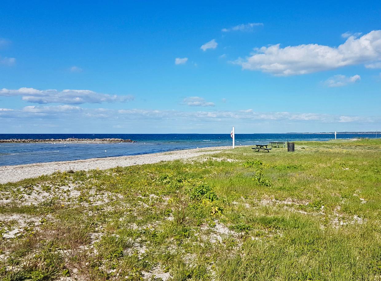 Picknicktisch am Strand zwischen grünen Wiesen und blauem Himmel