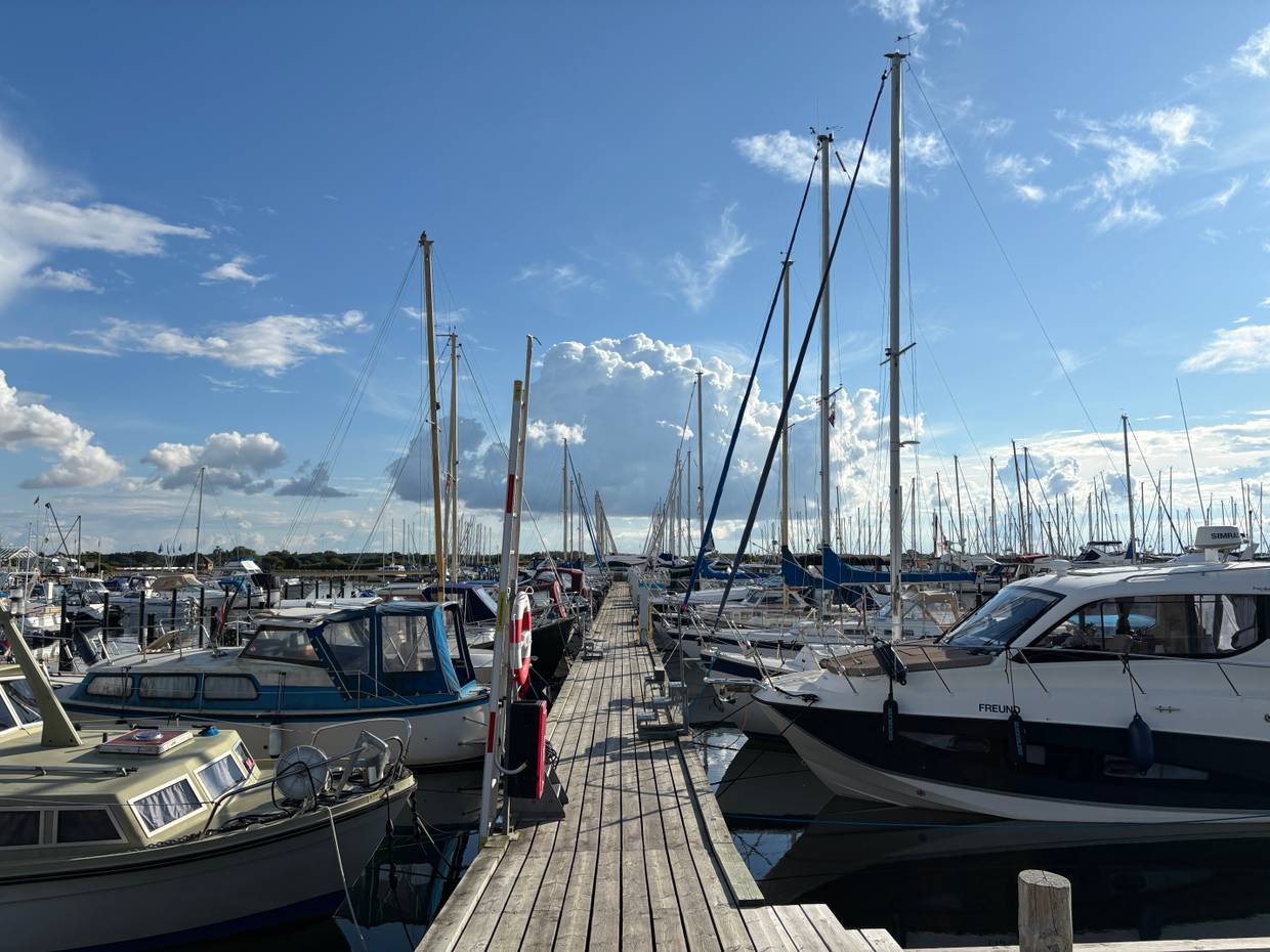 Ein Holzsteg mit vielen Segelbooten
