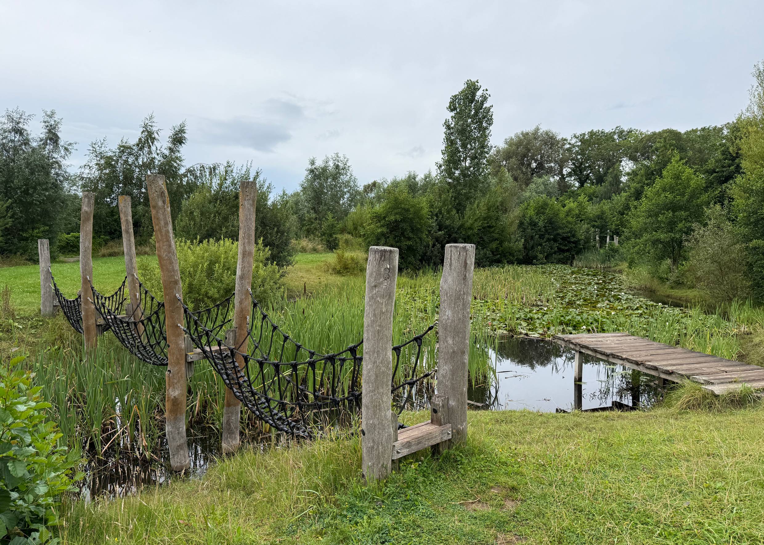 Blick auf einen See mit einer Kletterbrücke und einem Steg 