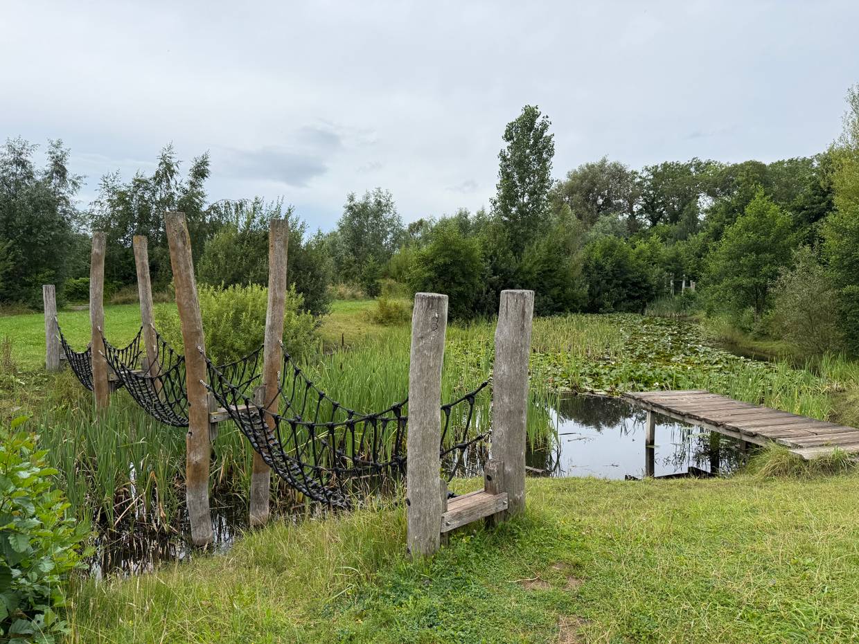 Blick auf einen See mit einer Kletterbrücke und einem Steg 