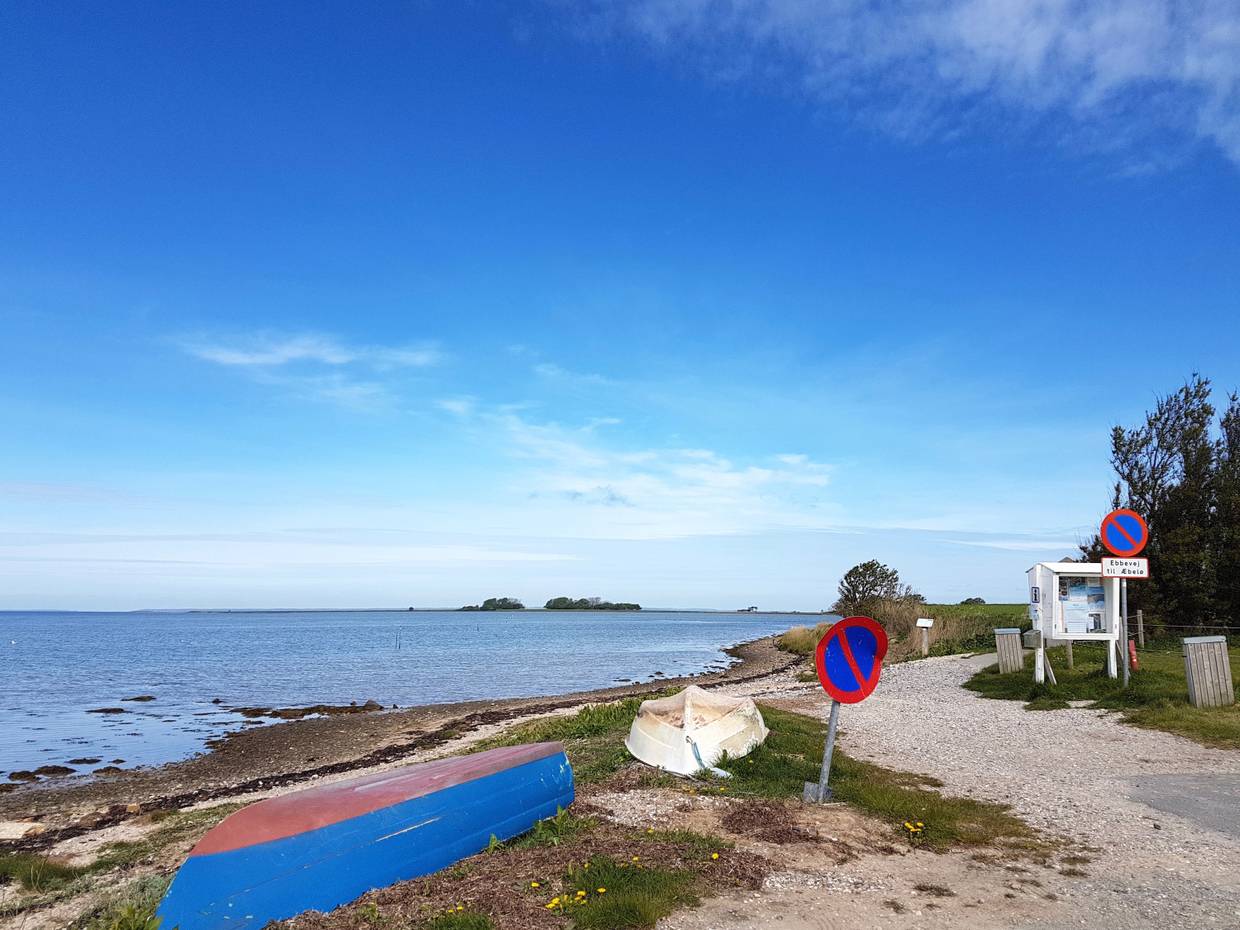 Blick auf eine kleine Insel im Ostseewatt