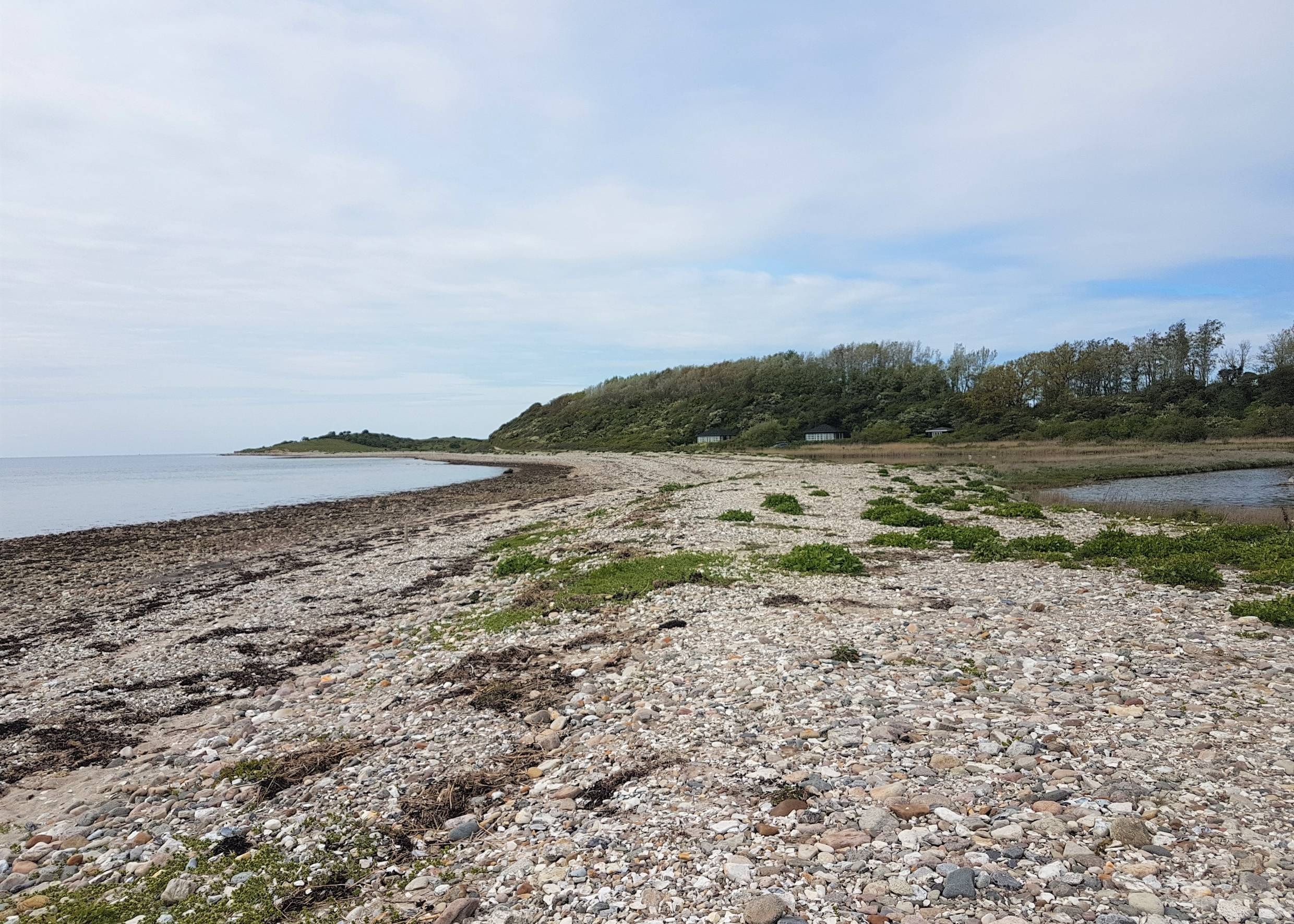 Steiniger Strand