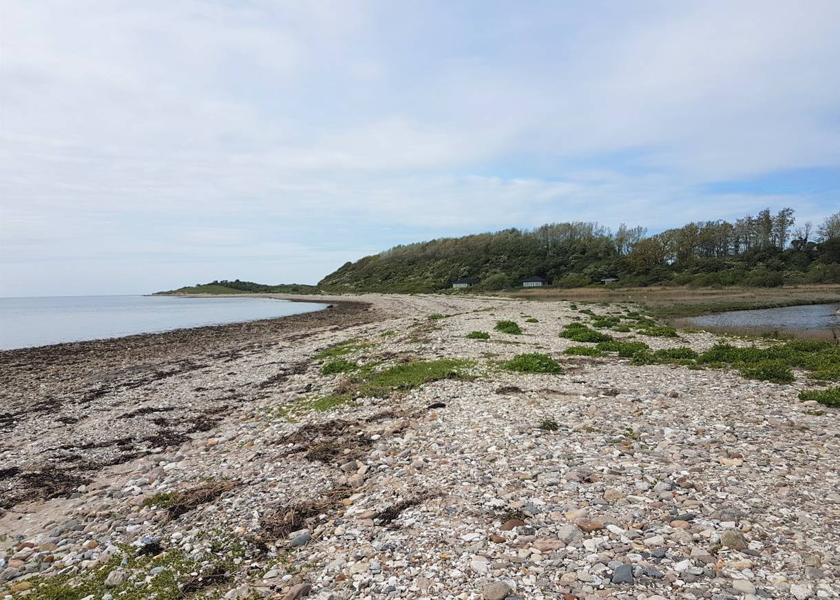Steiniger Strand