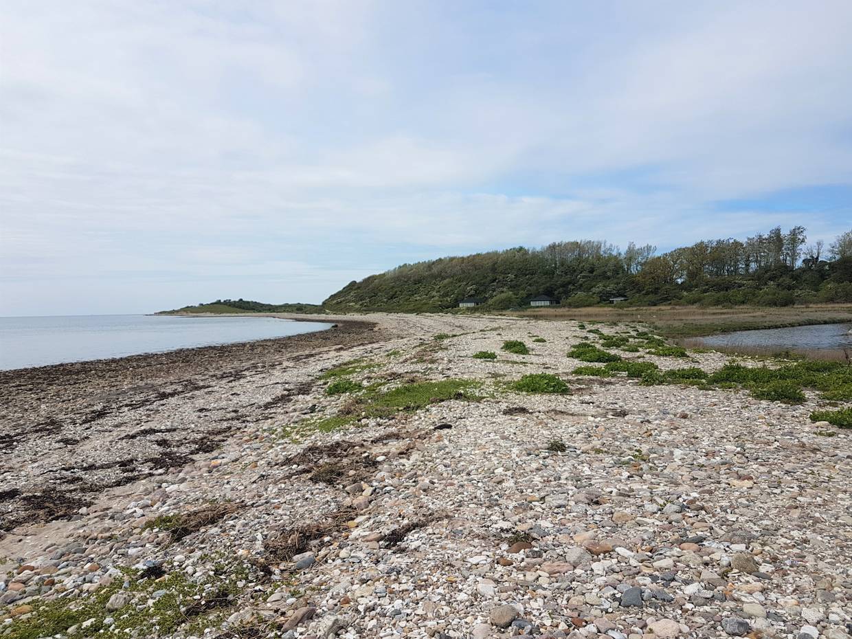 Steiniger Strand