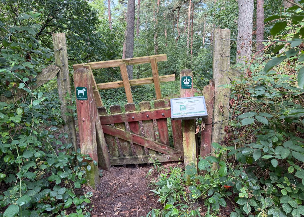 Eingangspforte zu einem umzäunten Waldstück