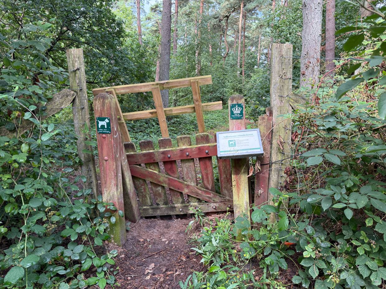 Eingangspforte zu einem umzäunten Waldstück