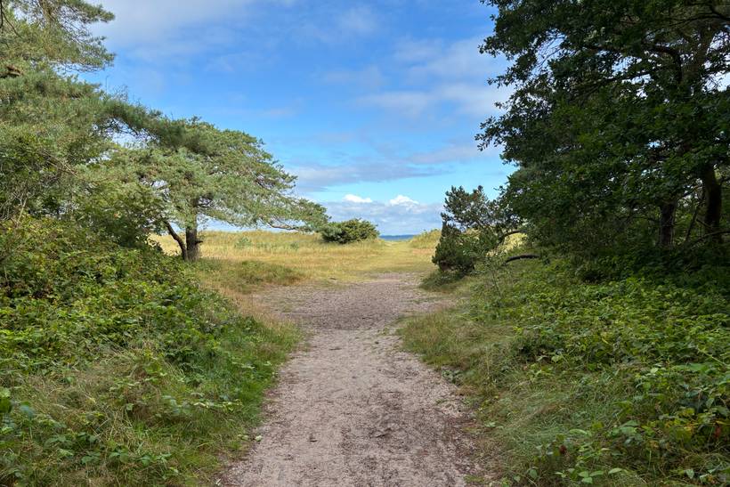 Foto von Flyvesandet Strand 