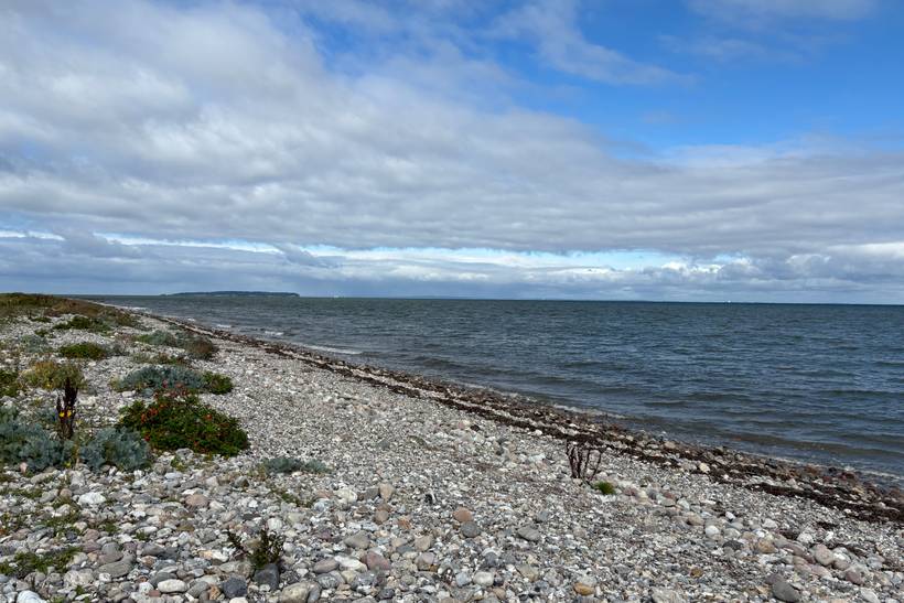 Foto von Flyvesandet Strand 