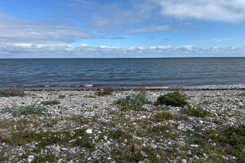 Foto von Flyvesandet Strand 