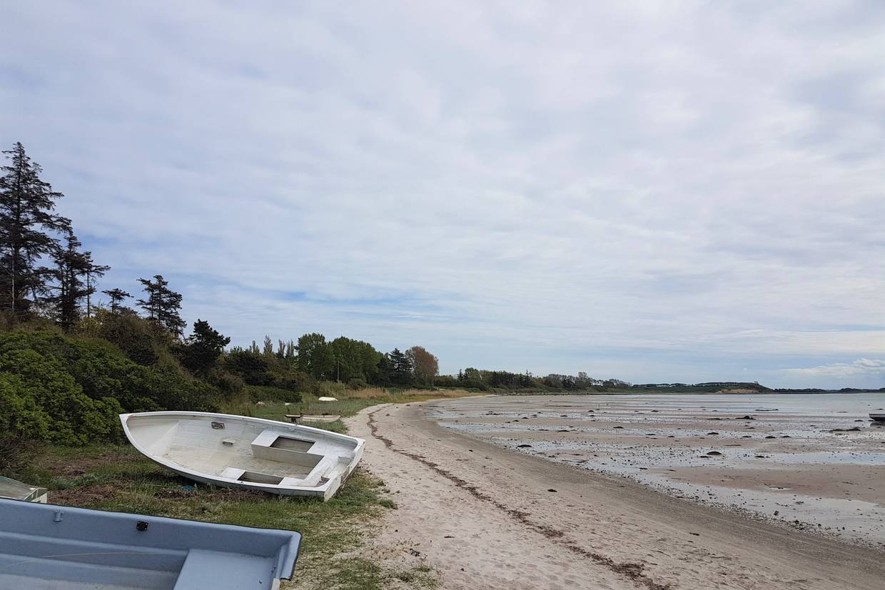 Foto von Fynshoved Strand