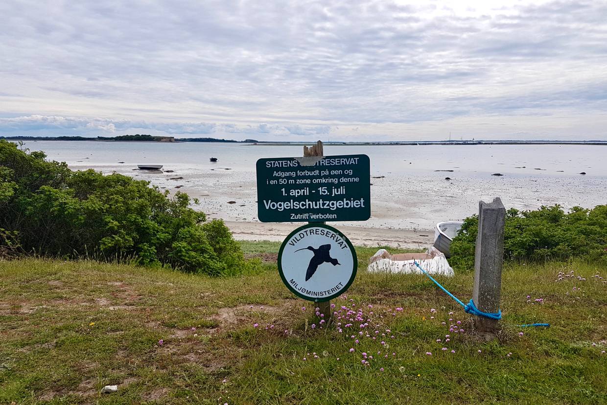 Foto von Fynshoved Strand