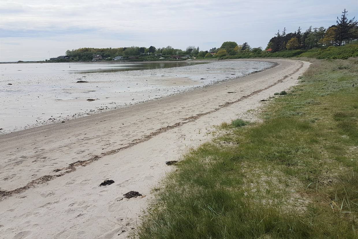 Foto von Fynshoved Strand