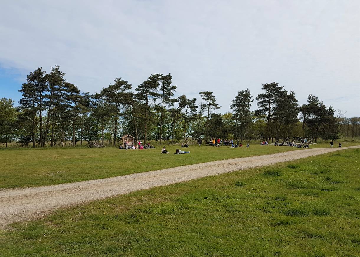 Eine Schulklasse auf einer Picknickwiese