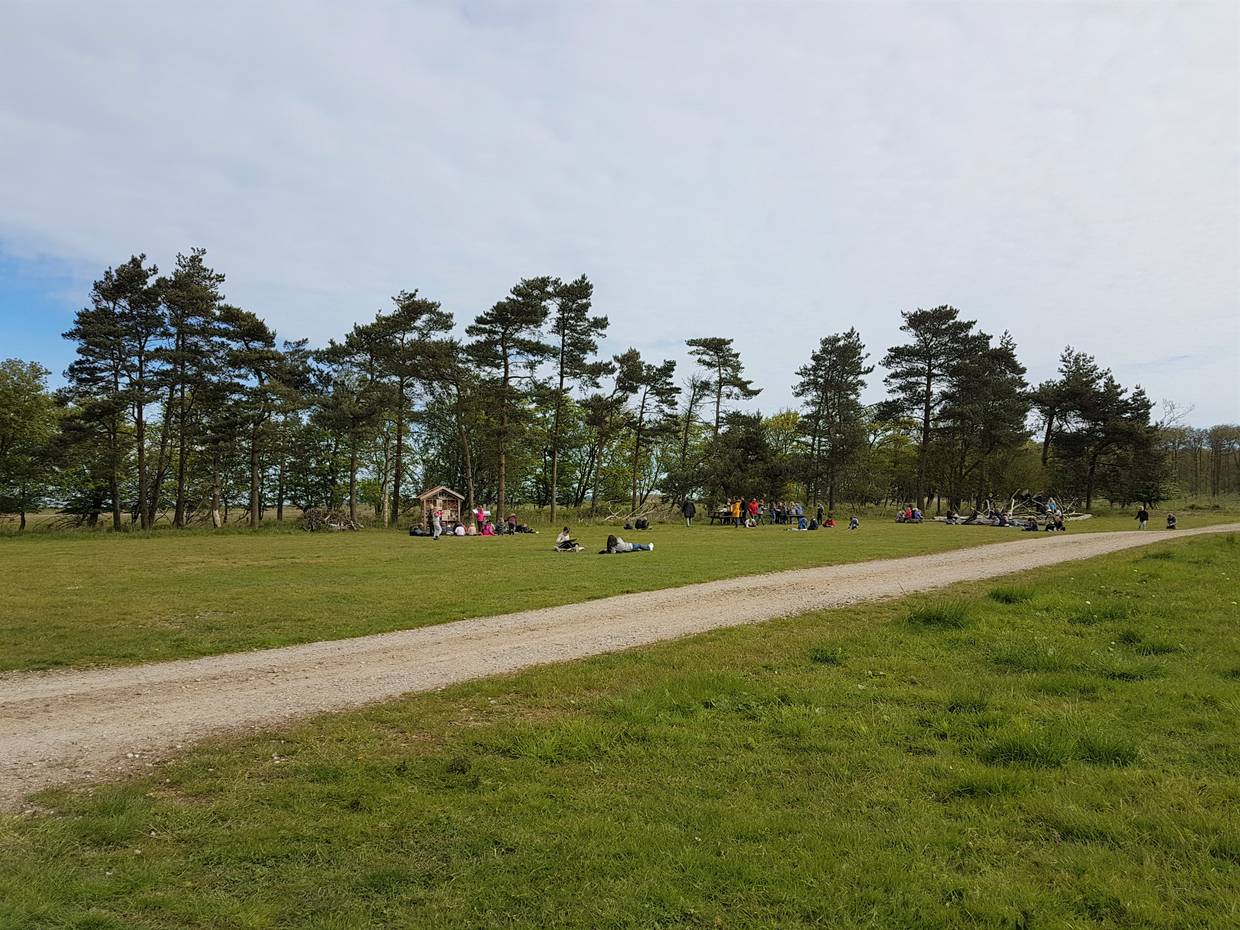 Eine Schulklasse auf einer Picknickwiese