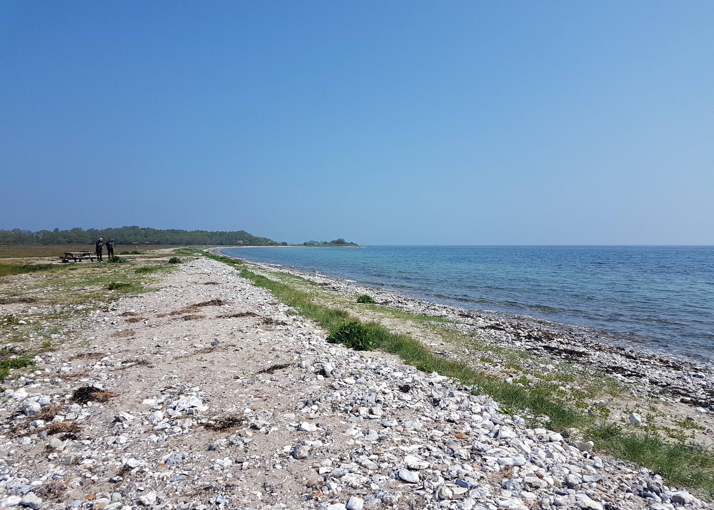 Flache Bucht mit steinigem Strand, im Hintergrund ein Wäldchen