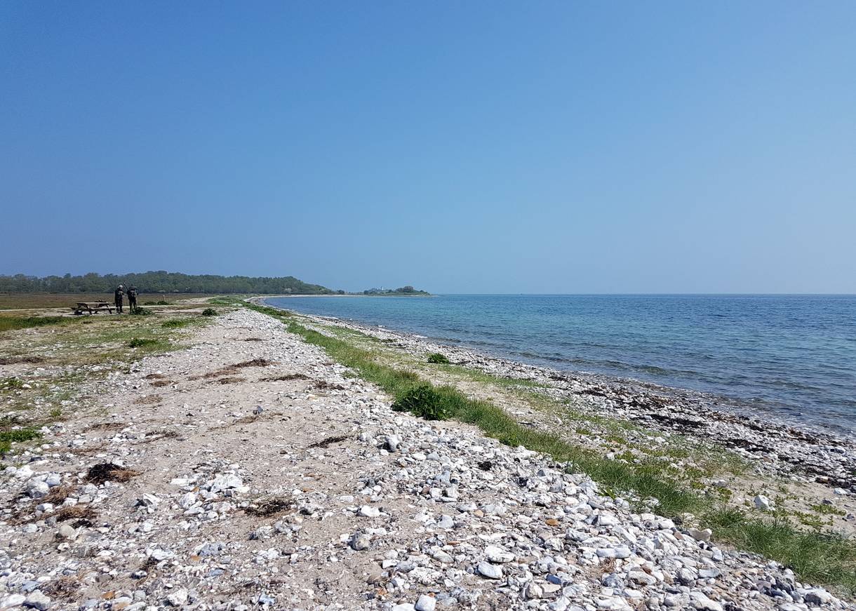 Flache Bucht mit steinigem Strand, im Hintergrund ein Wäldchen