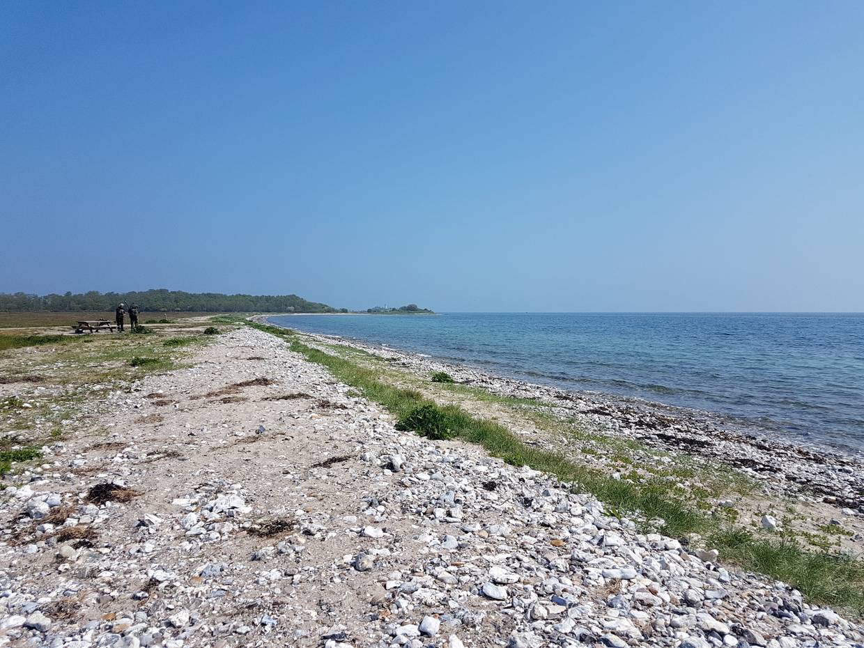 Flache Bucht mit steinigem Strand, im Hintergrund ein Wäldchen