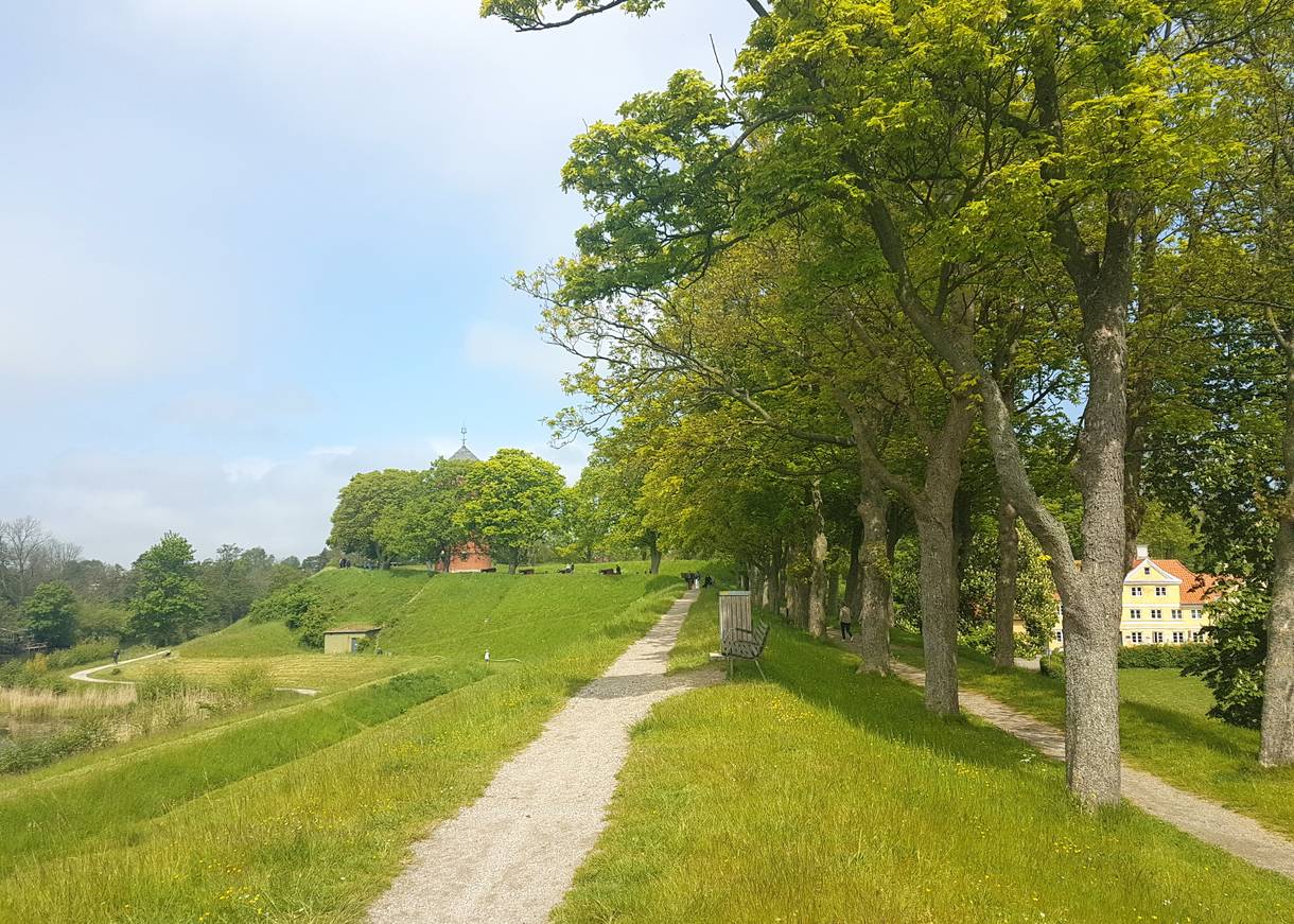 Schmaler Pfad auf einer Wallanlage