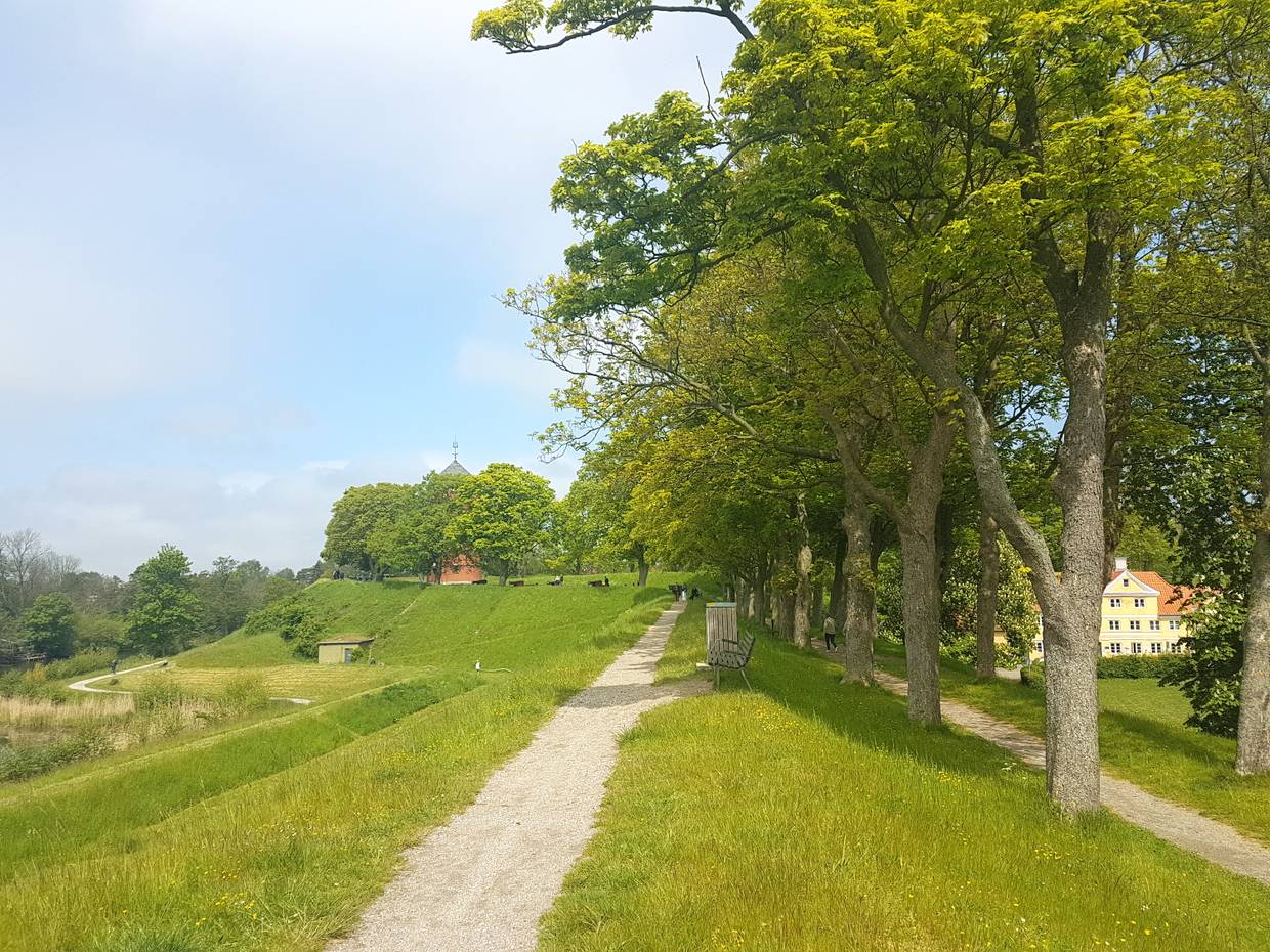 Schmaler Pfad auf einer Wallanlage